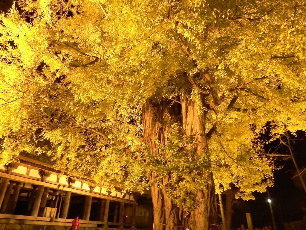 Yamagataya Hotel Kitakata Luaran gambar