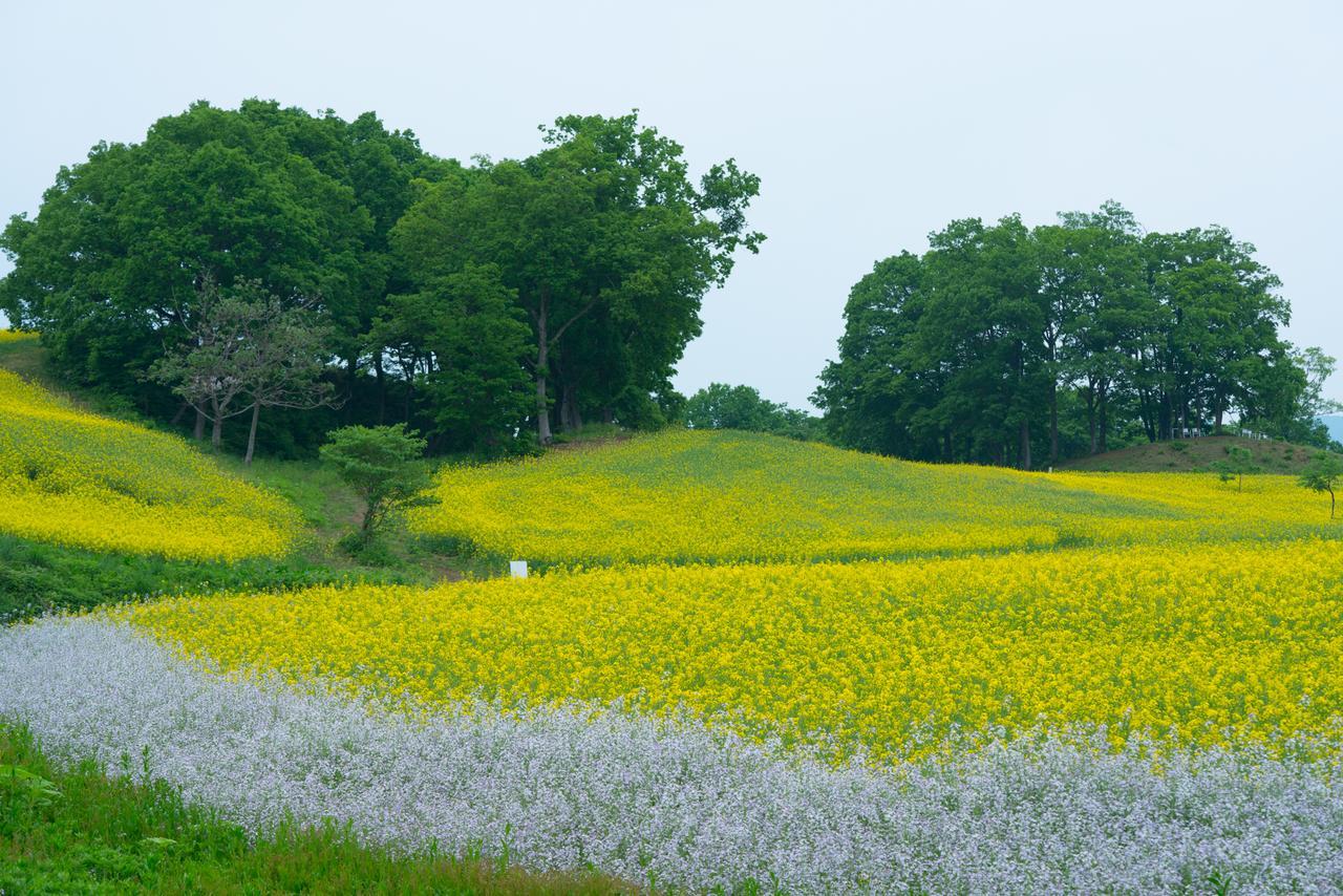 Yamagataya Hotel Kitakata Luaran gambar